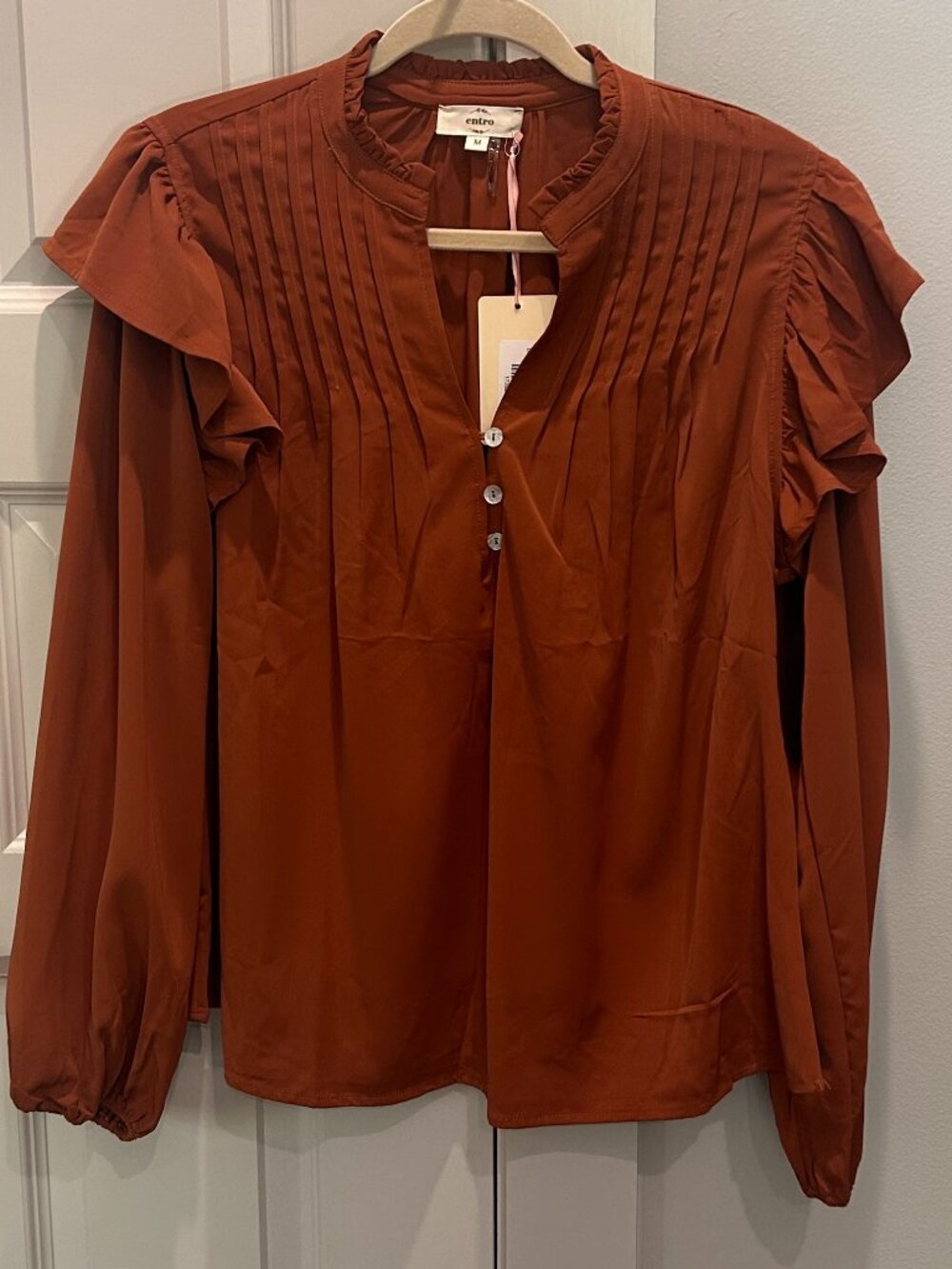 Entro Dark Camel Long Sleeve Blouse